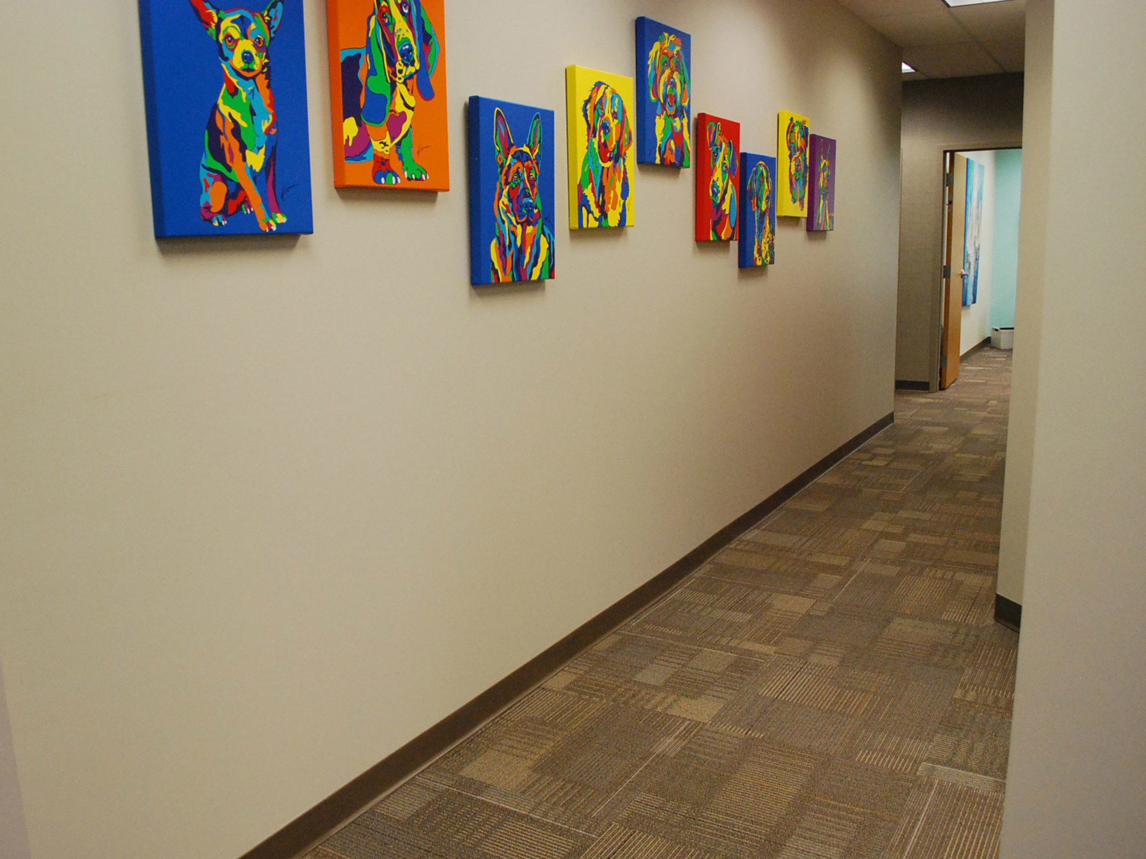 Office Carpet 2